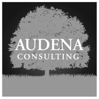Audena Consulting