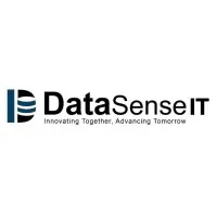 DataSense IT