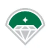 Diamond Baseball Holdings Diamond Baseball Holdings