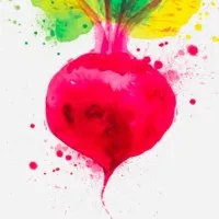 Simplicity Nutrition, Inc.