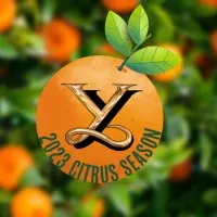 Young's Commercial Transfer Inc.