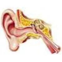 Hearing Solutions Of Arizona Hearing Solutions Of Arizona