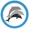 3Dolphins.ai 3Dolphins.ai