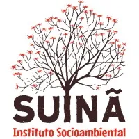 Instituto Suinã