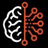 WIRED BRAINS WIRED BRAINS