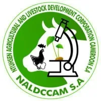 NALDCCAM S.A