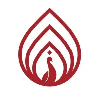 Reliance Chemotex Industries Limited