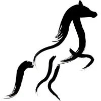 Oxilo Consultancy Services