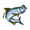 Tarpon Transportation Tarpon Transportation