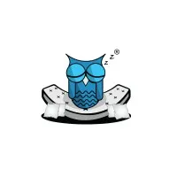 Sleeping Owls Sleeping Owls