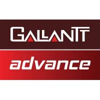 Gallantt Group