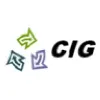 CIG Solutions