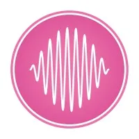 Chipus Microelectronics