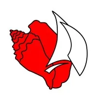 Conch Charters