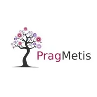 PragMetis