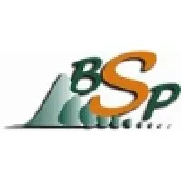 BSP International BSP International