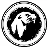 Seal The Deal Studios Seal The Deal Studios