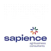 Sapience Group
