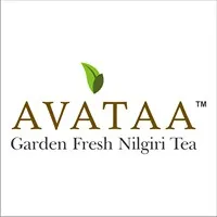 Avataa Tea