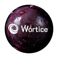 Wórtice Energia