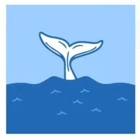 Diaries of the Ocean