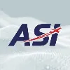 Aerosystems International - Electrical Components International Division