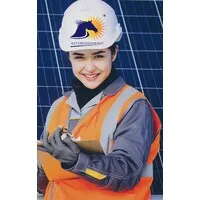 RAYSTEEDS ENERGY PVT LTD