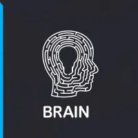 Brain Mkt