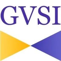 GVSI, LLC GVSI, LLC
