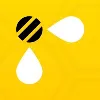 Bee Bee