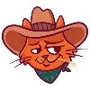Coverage Cowboy Coverage Cowboy