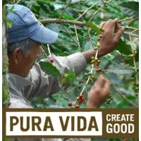 Pura Vida Coffee Pura Vida Coffee