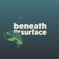 Beneath the Surface