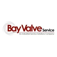 Bay Valve Service & Engineering LLC