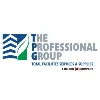 The Professional Group The Professional Group
