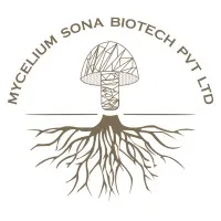 Mycelium India
