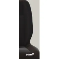 SOMIL S.A.