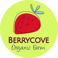 Berrycove Limited Berrycove Limited
