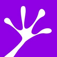 FrogPlum Solutions Inc.