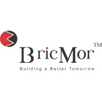 BRICMOR INFRA PROJECTS PRIVATE LIMITED