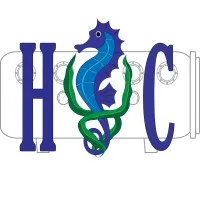 HYPERBARIC CONSULTING LLC