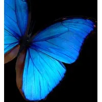 Equilibrium Personal Training and Yoga Studio