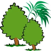 Pin Services Private Limited