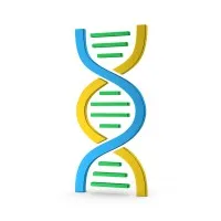 Affi Biotech Affi Biotech