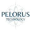 Pelorus Technology Pelorus Technology