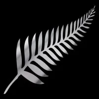 Silver Fern Financial