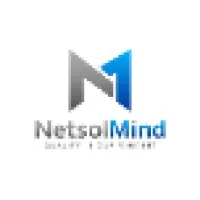 Netindo Solution Group