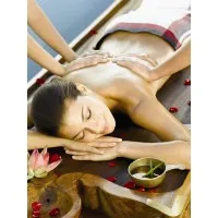 Ayurvedagram Heritage Wellness Center Pvt. Ltd. Ayurvedagram Heritage Wellness Center Pvt. Ltd.