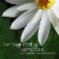 Artography Image Services Artography Image Services