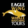 Eagle Wing Whale & Wildlife Tours Eagle Wing Whale & Wildlife Tours